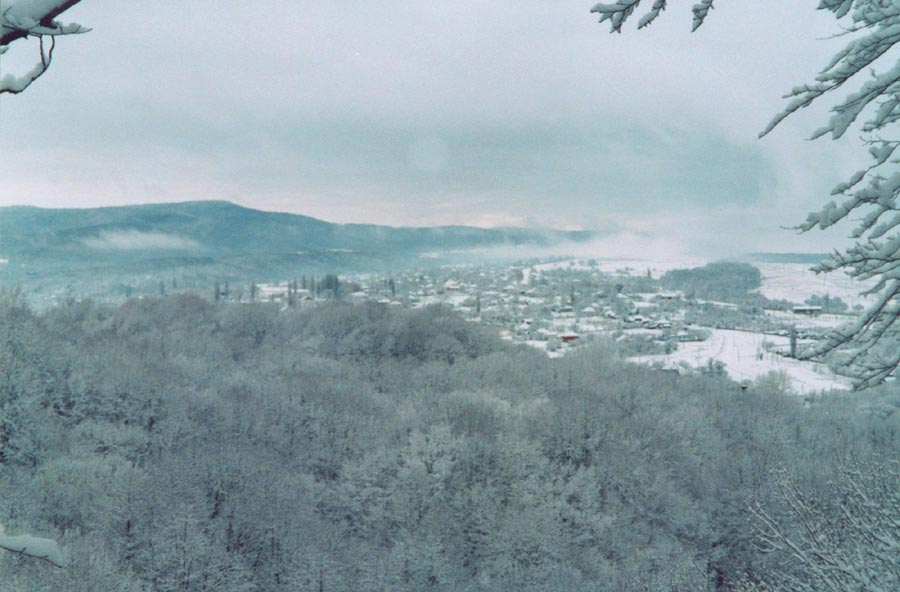 Станица Абадзехская