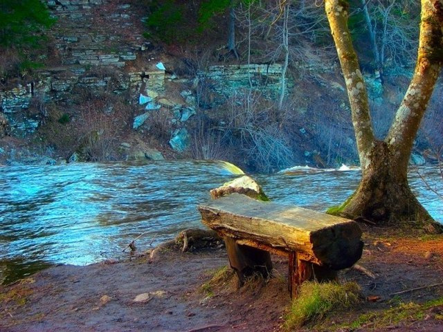 скамейка скамейка