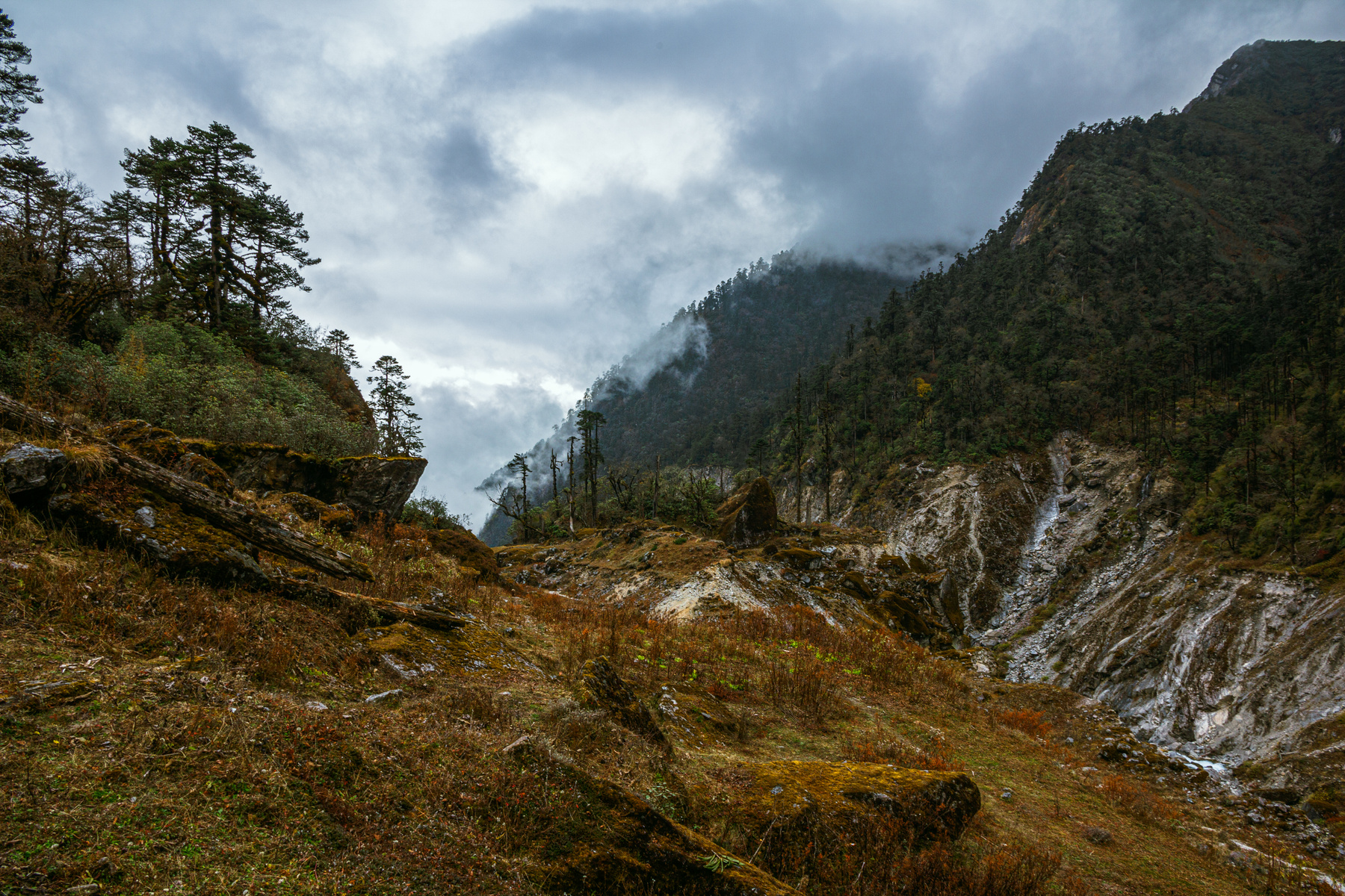 Nepal. 