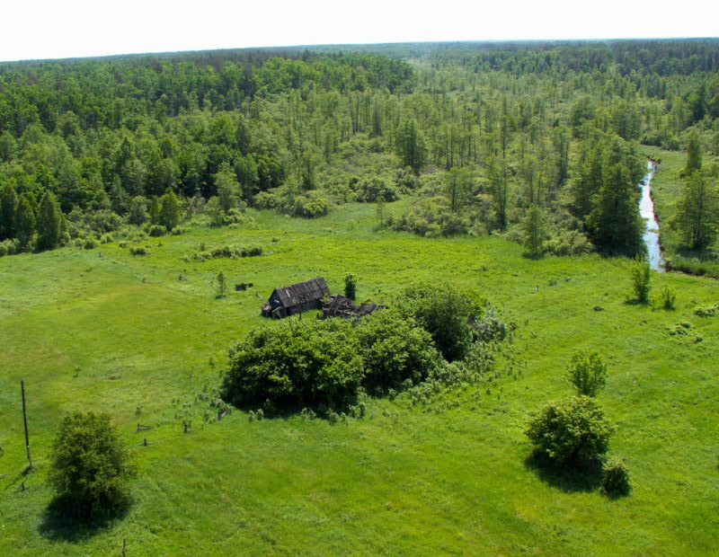 Украинское Полесье лес, река