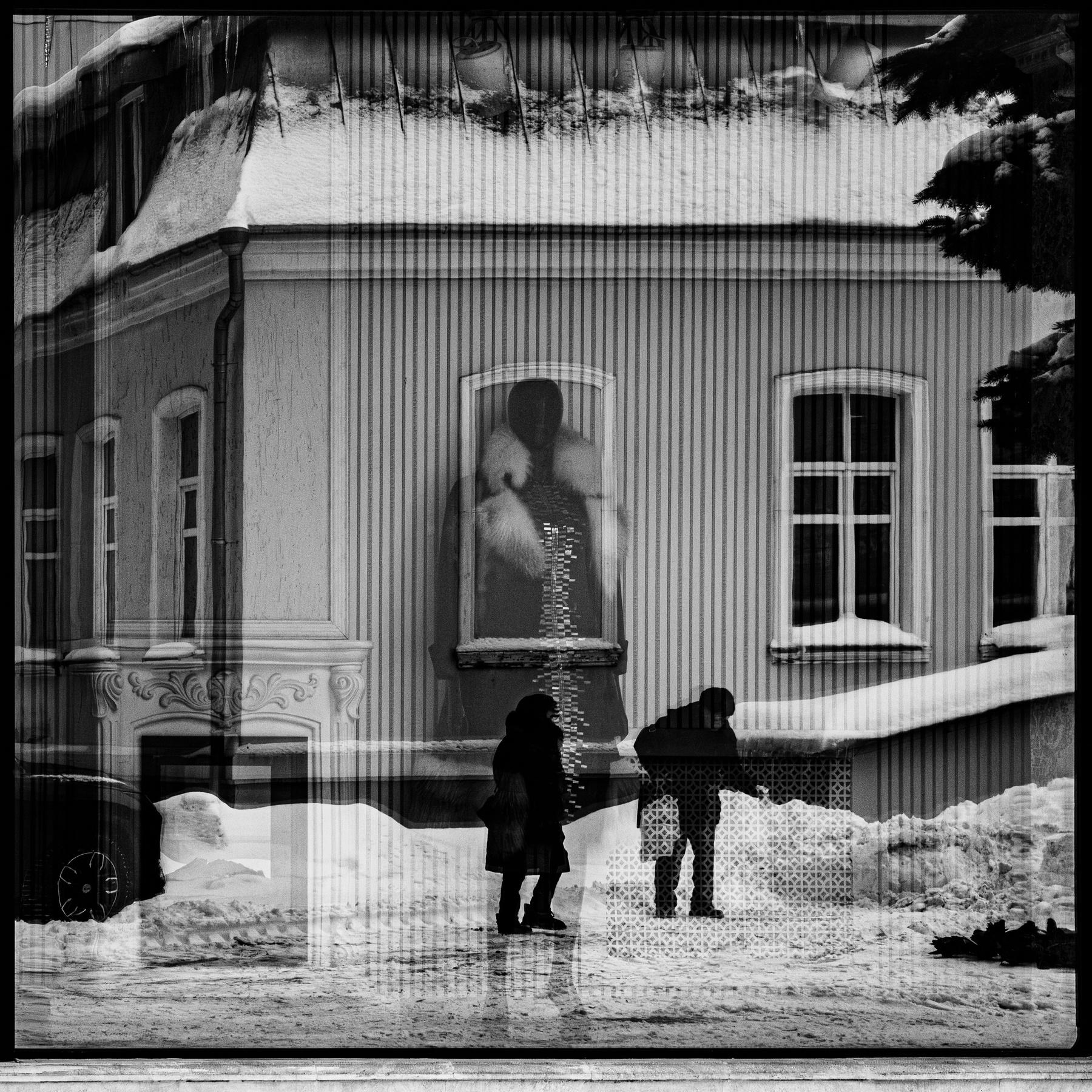 Голуби 