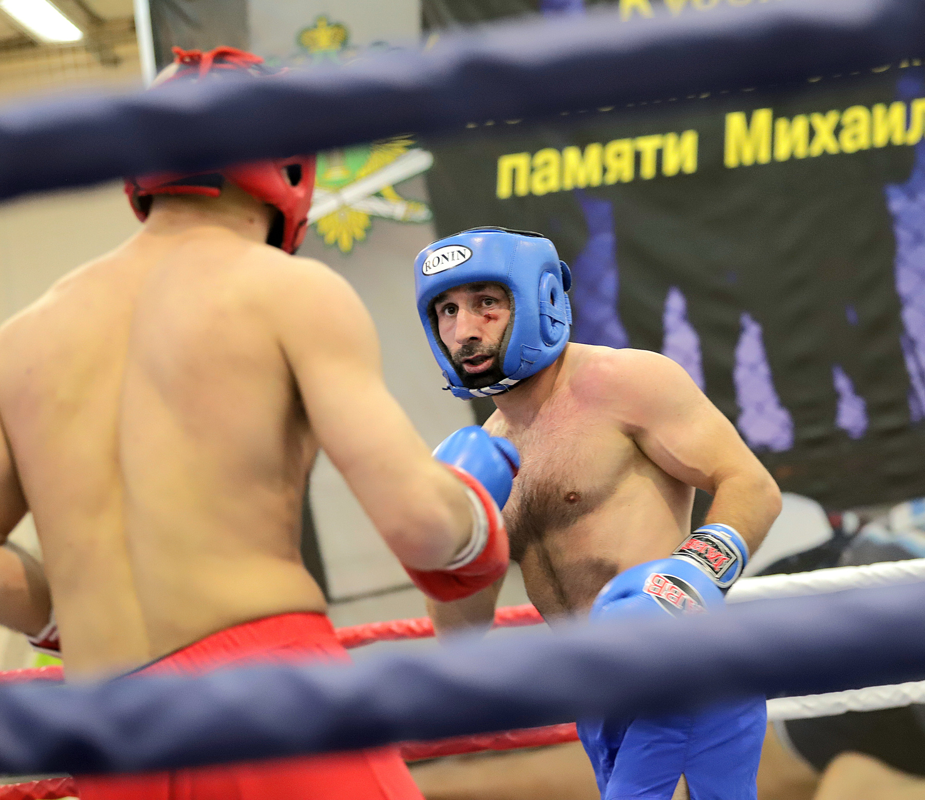 Гасанов рамин Гасанов рамин спорт гасанов мма бокс