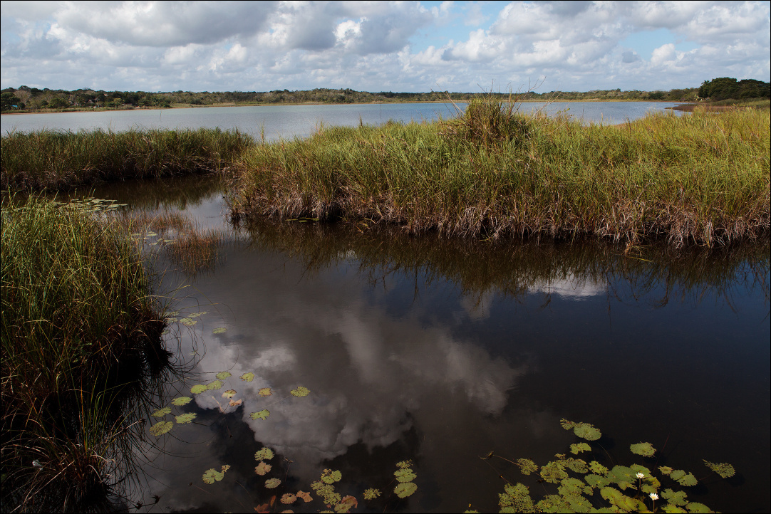 Laguna Cobá Mexico Cobá Laguna Мексика Коба