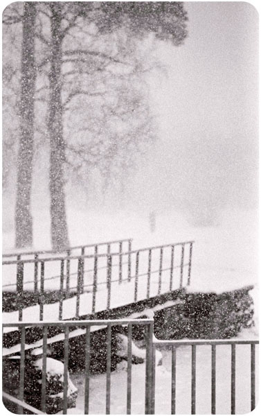 Снежно bw