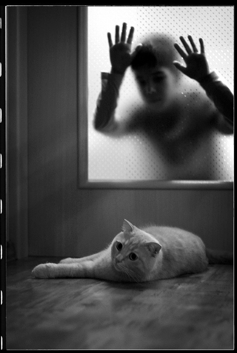 =^^= котофота