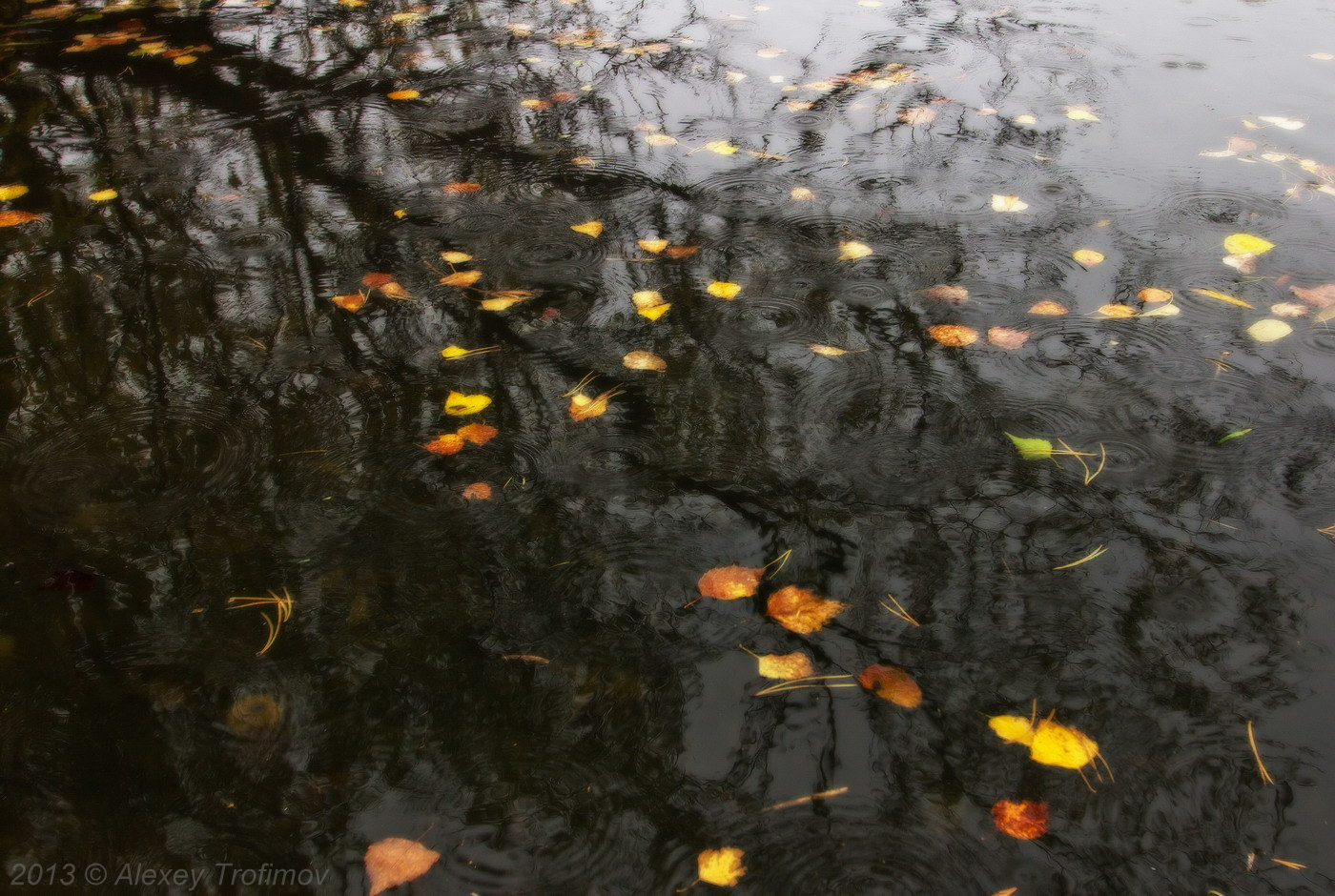 Melody of Autumn 