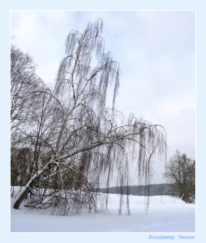 Оглянись незнакомый прохожий... 