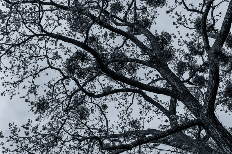 VIENNA. Stadtpark. 2013 