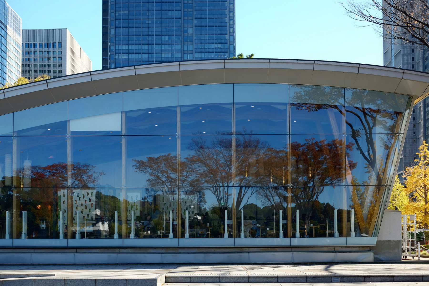 Токио осенний Tokyo Japan Токио Япония осень солнце деревья краски красота отражение небоскребы гинкго кафе