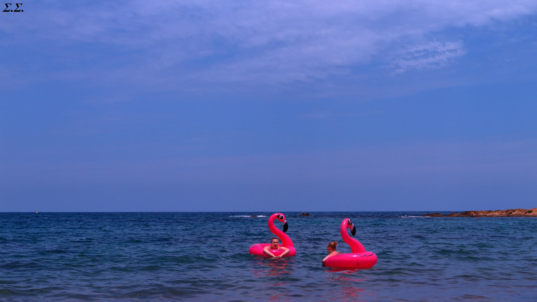 MIGRATORY EXOTIC BIRDS 