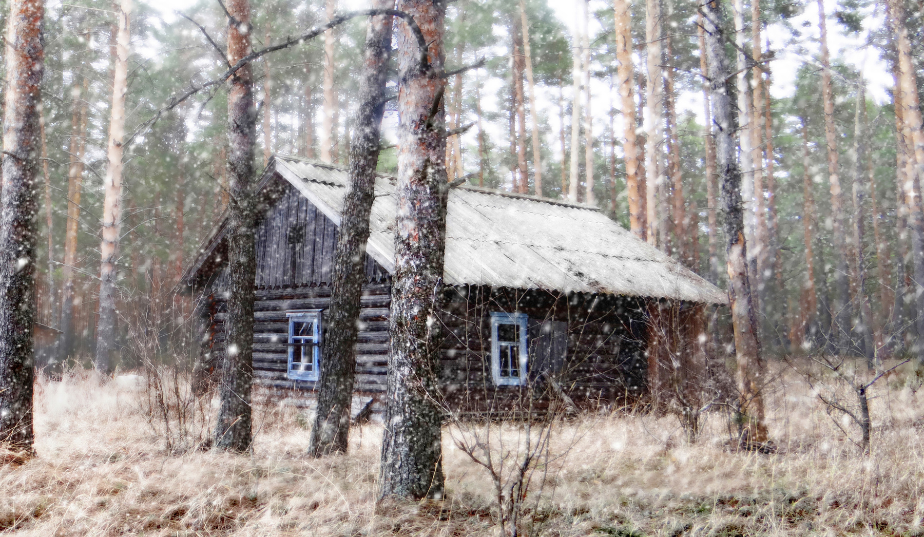 с. Пелегово ( у домика рыбака ) 