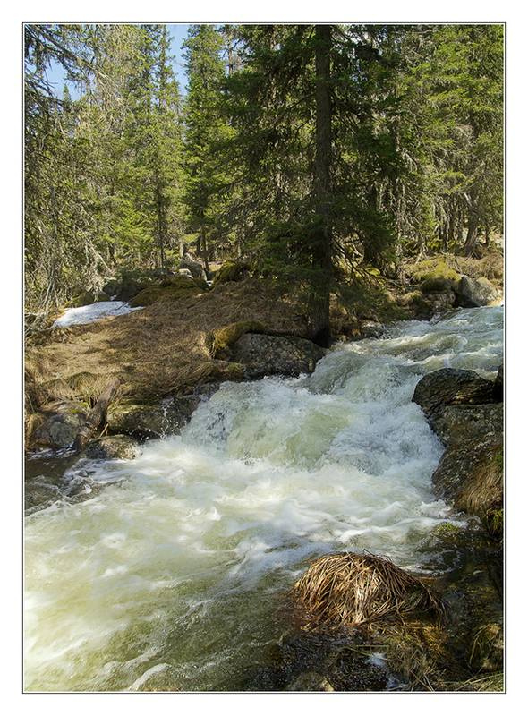 Талые воды 