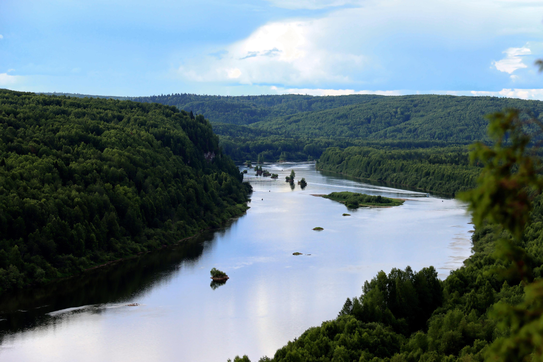 ***Вишера река вода лес деревья трава осень