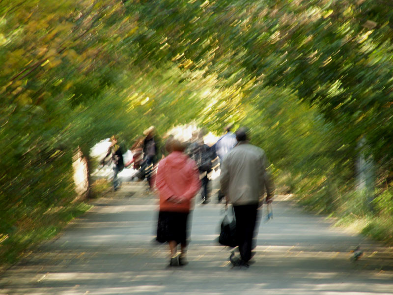 Краски осени Осень, парк, природа, жизнь, краски, акварель