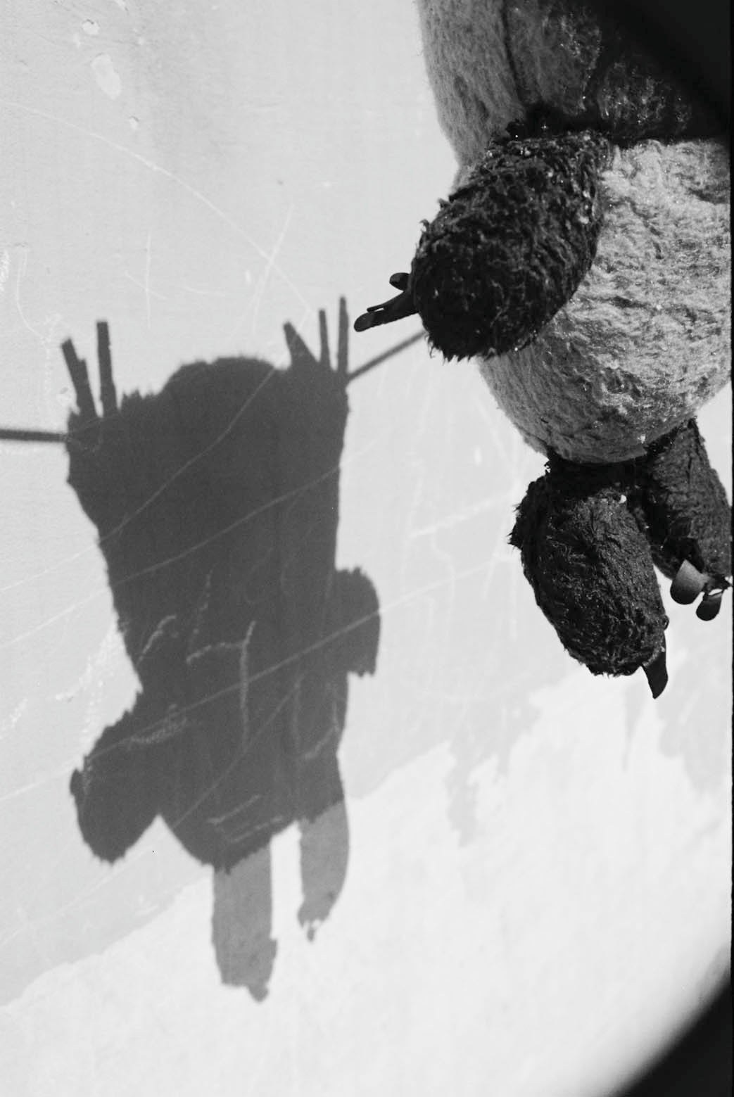 Suicide Teddy Плюшевый мишка повесился Suicide Teddy-bear
