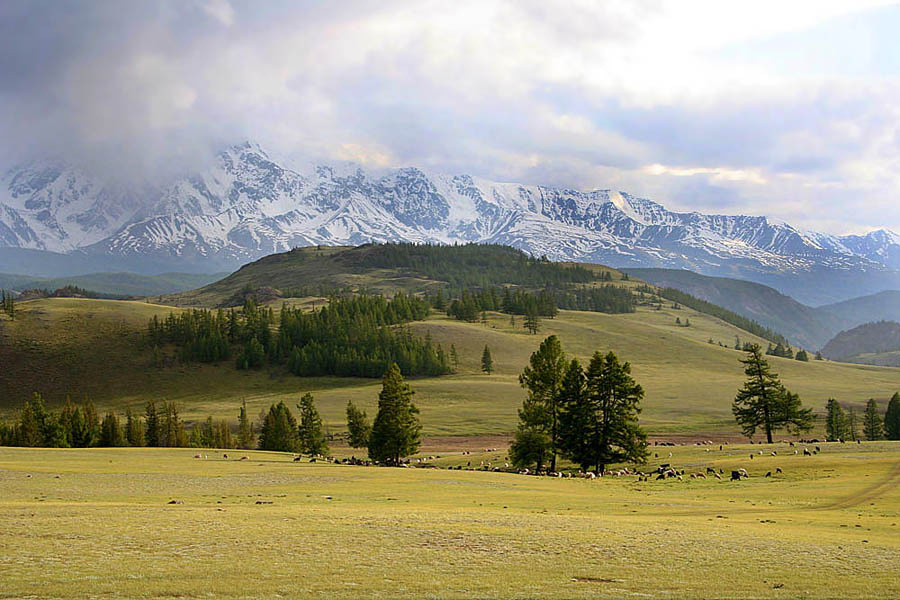 Актру, Алтай 