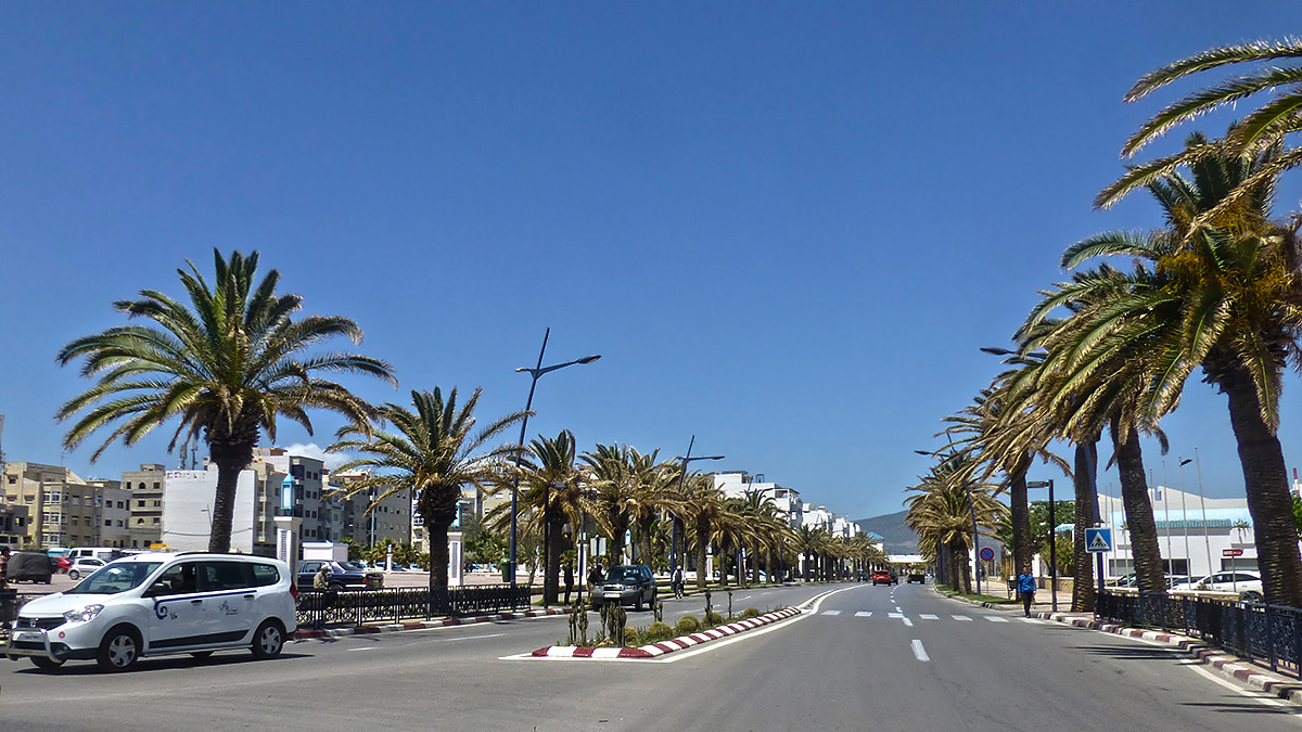 аллея Марокко Morocco Тетуан Tetuan дорога на Фнидк и Сеуту аллея пальмы