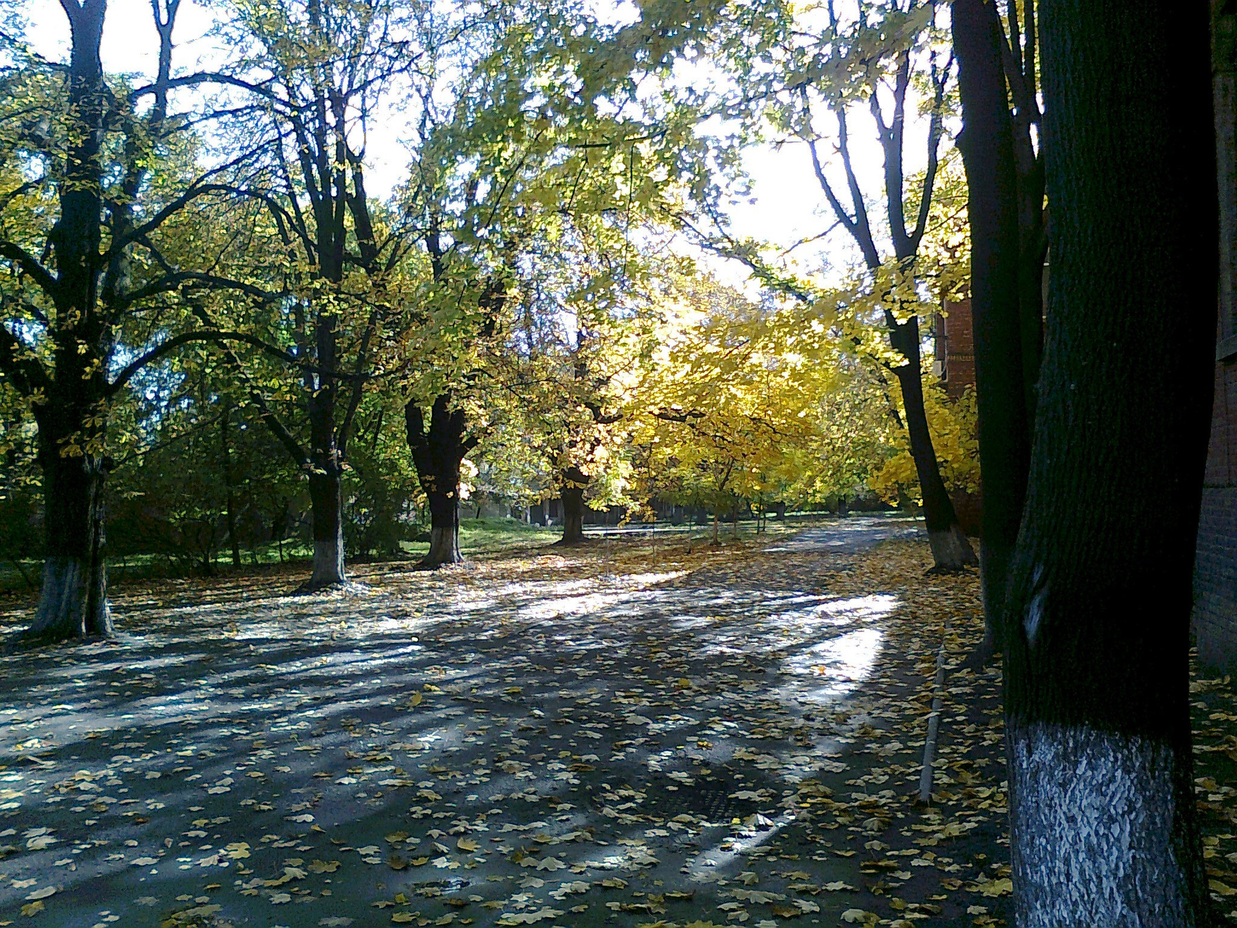 Солнце, осень. Природа