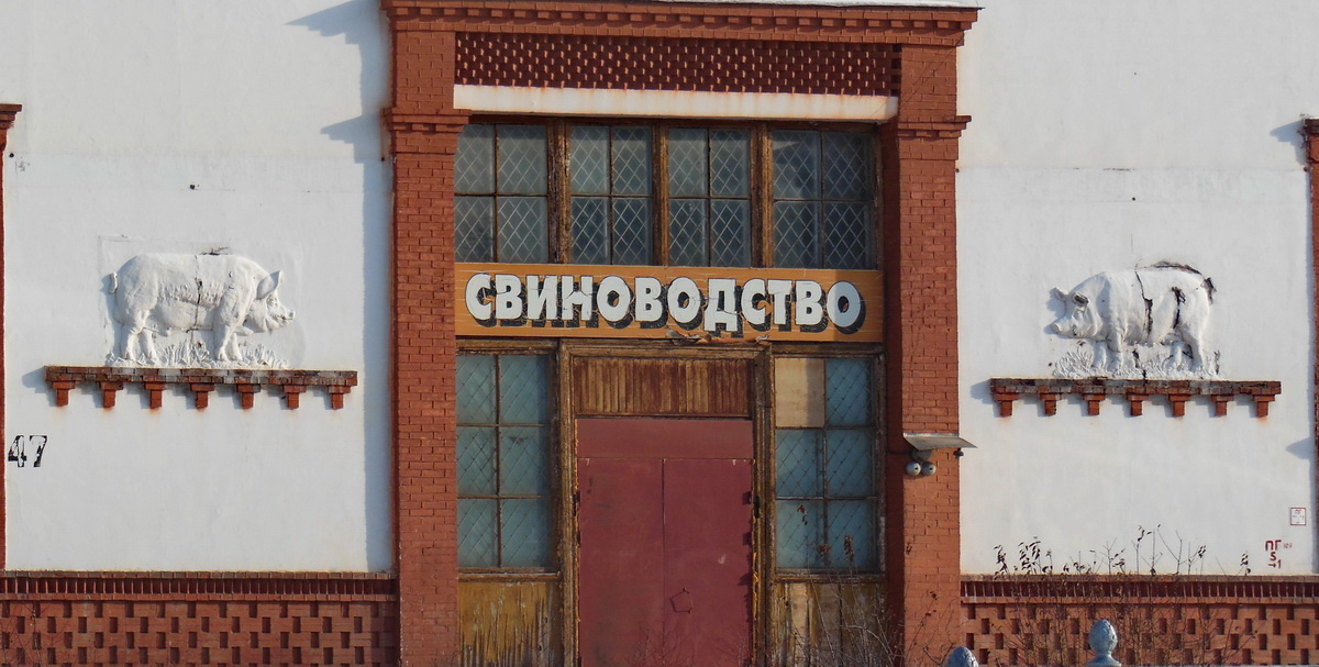 Красное крыльцо архитектура вднх москва россия свинья свиноводство павильон останкино