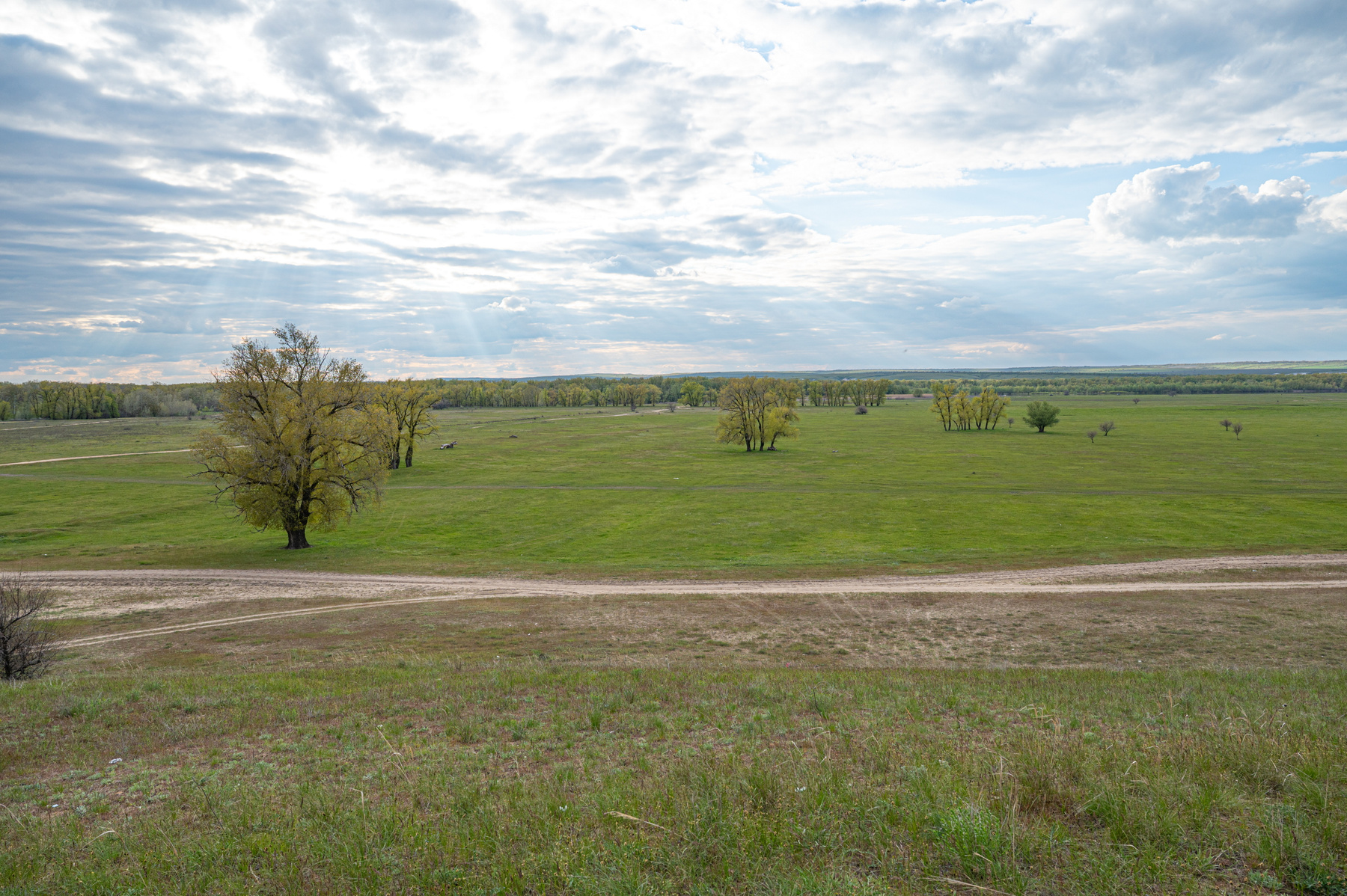 Дон в далеке 