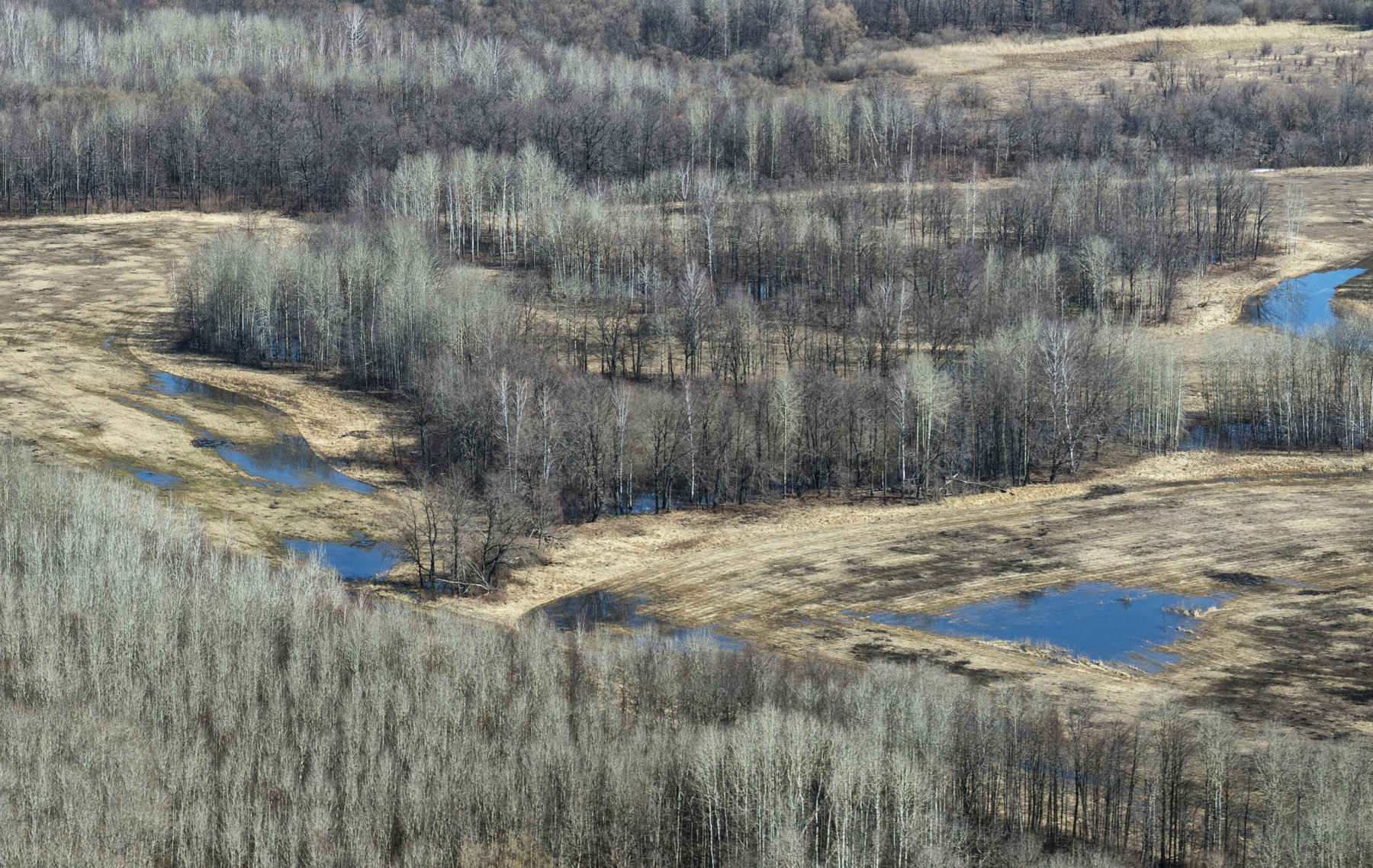Апрель 