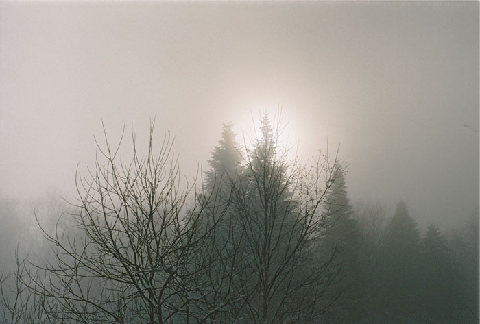 fog горы туман