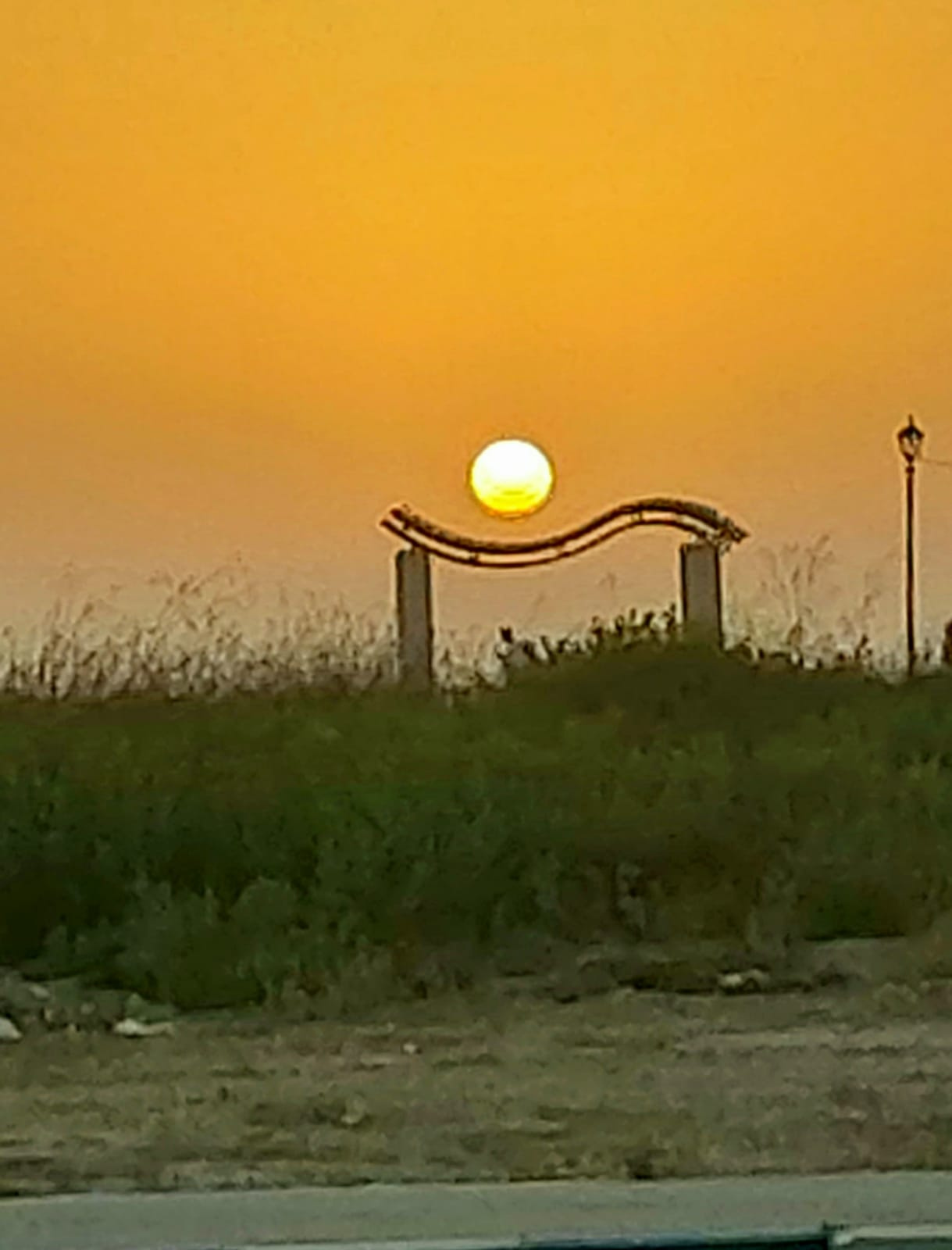 На закате 
