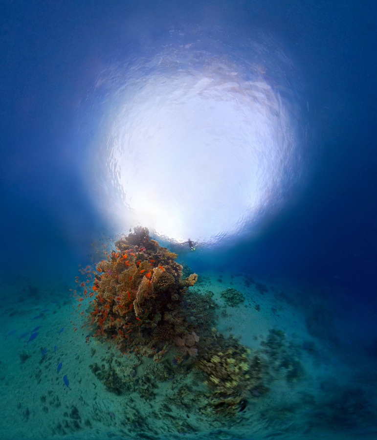 Underwater Christmas Tree Египет Дахаб подводная сферическая панорама Dahab Egyp underwater spherical panorama freediving ivvi.name