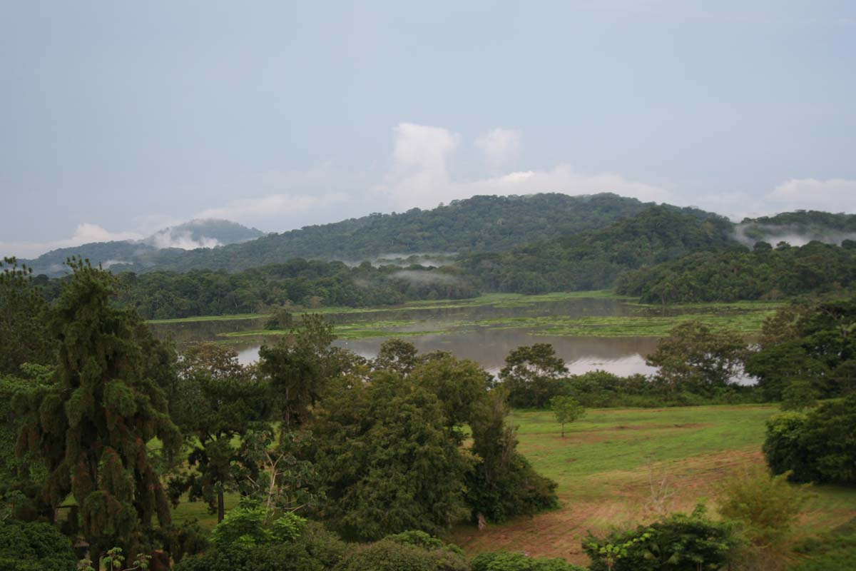 View on rain forest in Panama Panama rain forest