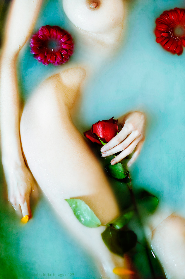 To kiss blue violets 