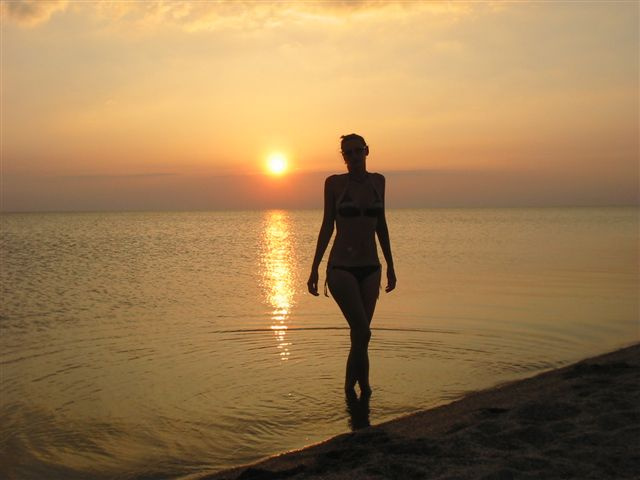Paradise 