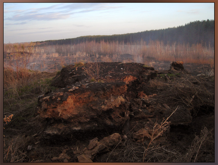 оттаявшая осень ground spring