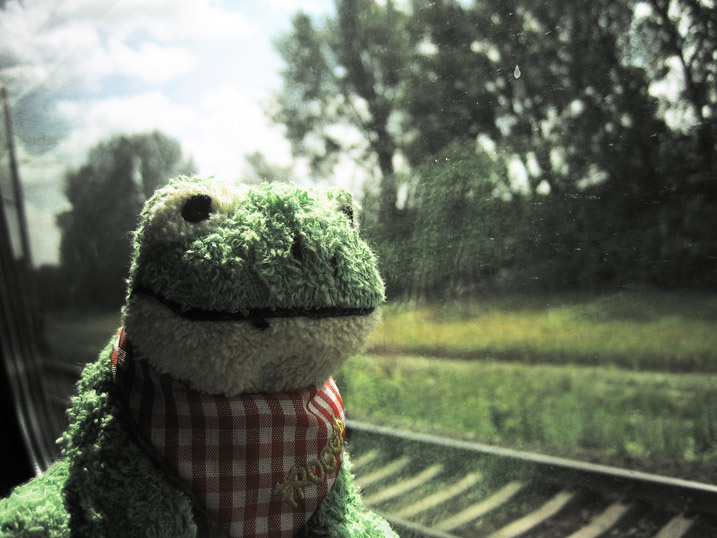 m - brandon.s traintrip frog