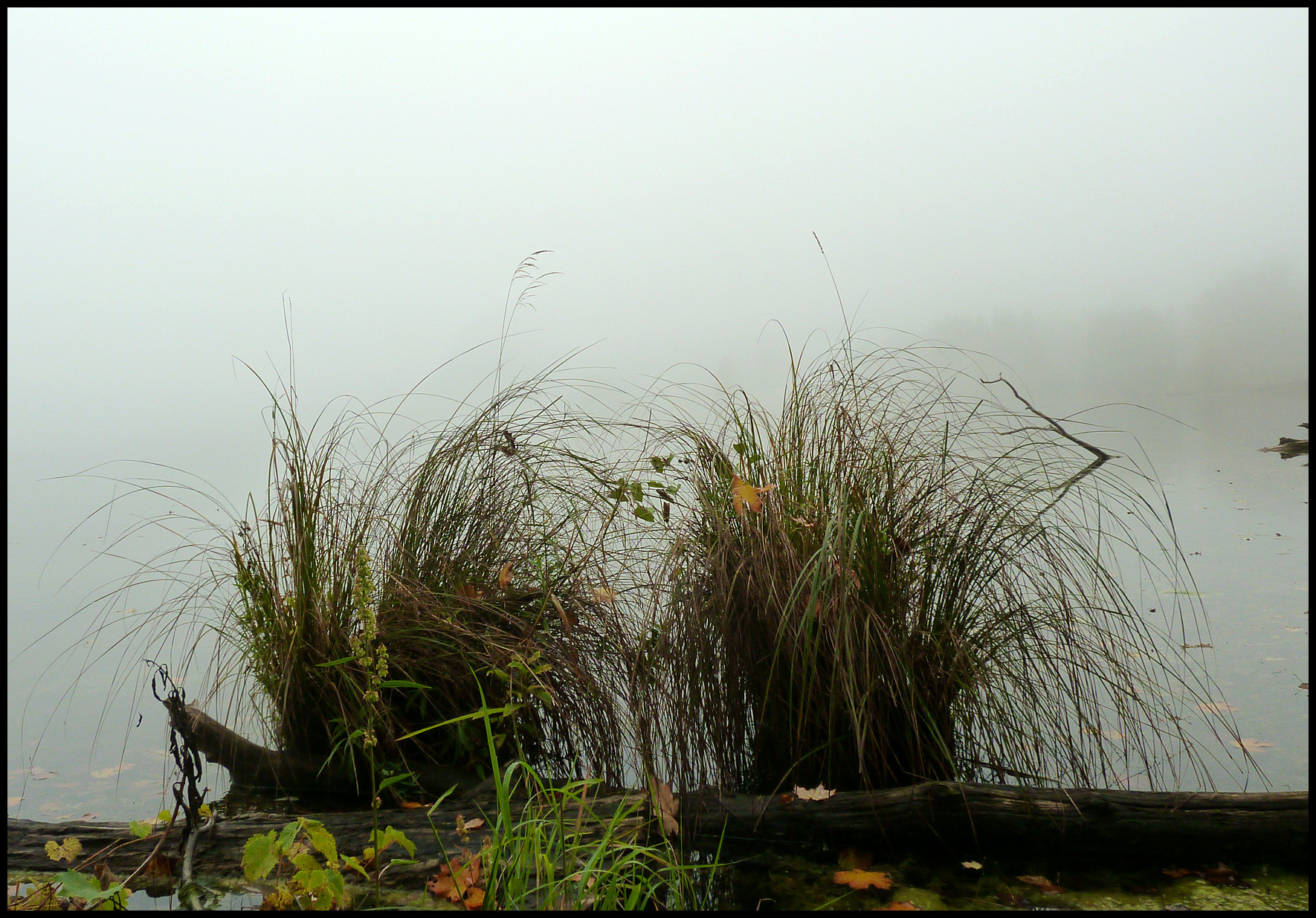 двое в тумане туман, озеро, fog, lake