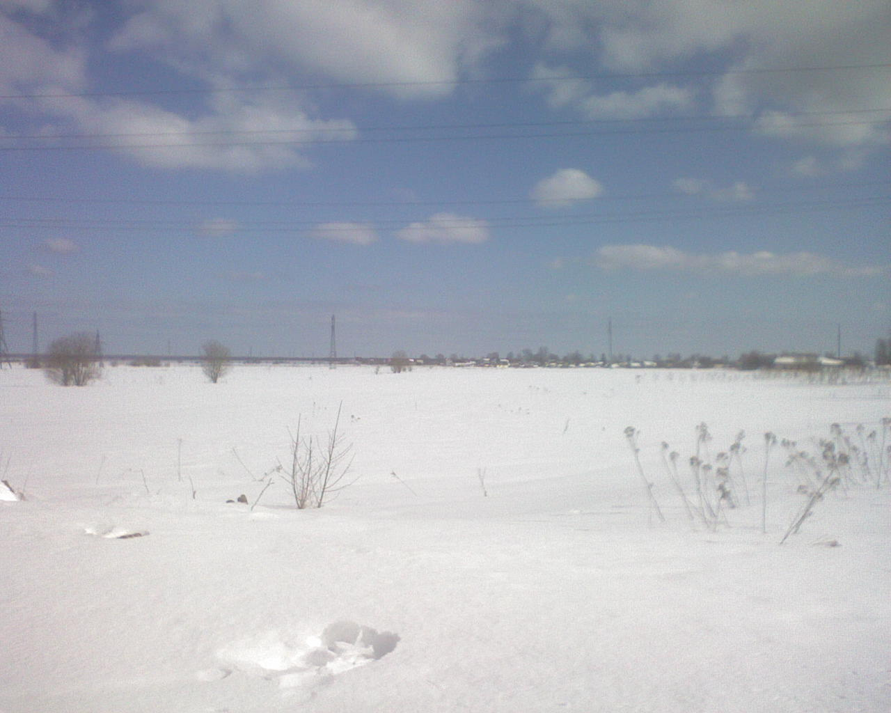 Морозный день 