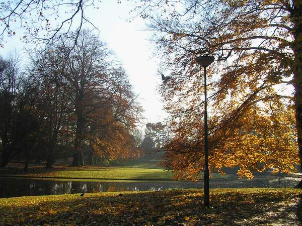 Осенний мотив осень