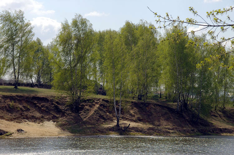 Просто весна Весна береза озеро
