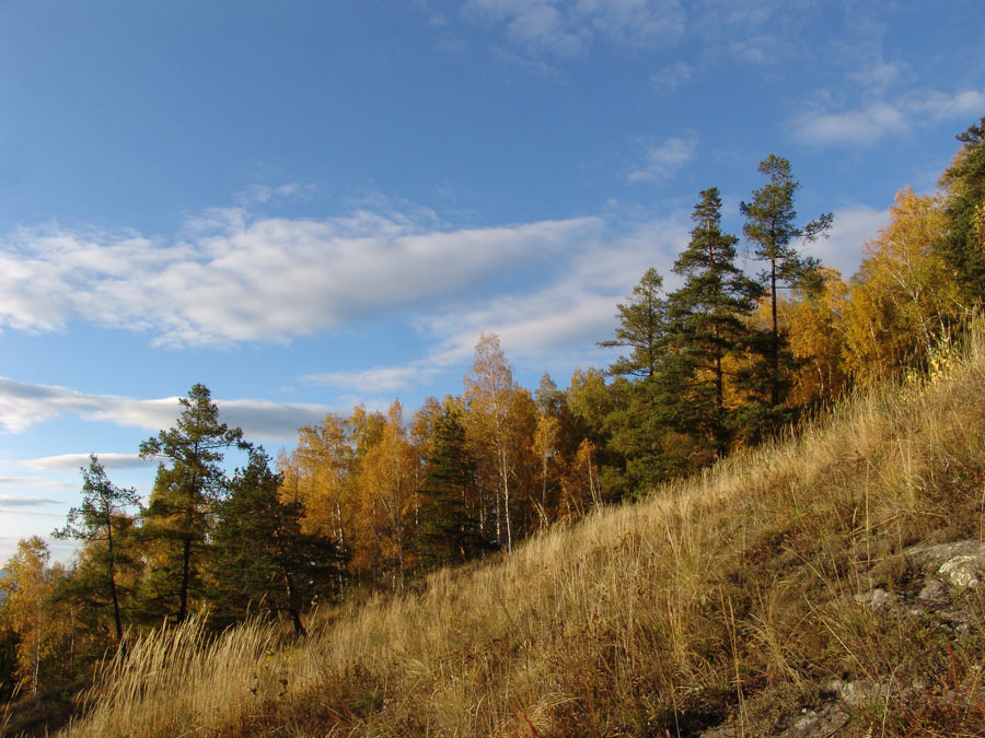 осень 