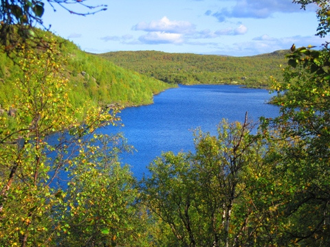 разливы реки Урицы река Урица тундра Кольский полуостров Заполярье север