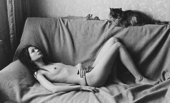 человек и кошка 