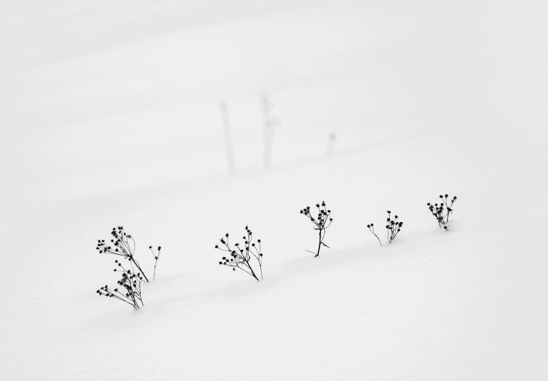 *** природа зима снег