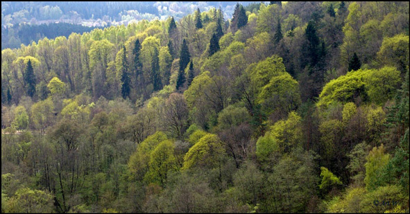 Springtime colours 3 