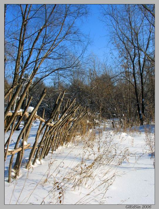 Плетень зима плетень