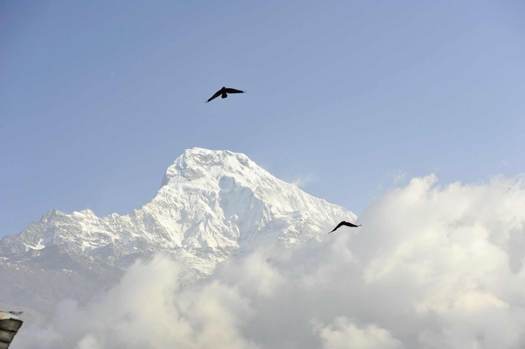 ANNAPURNA НЕПАЛ