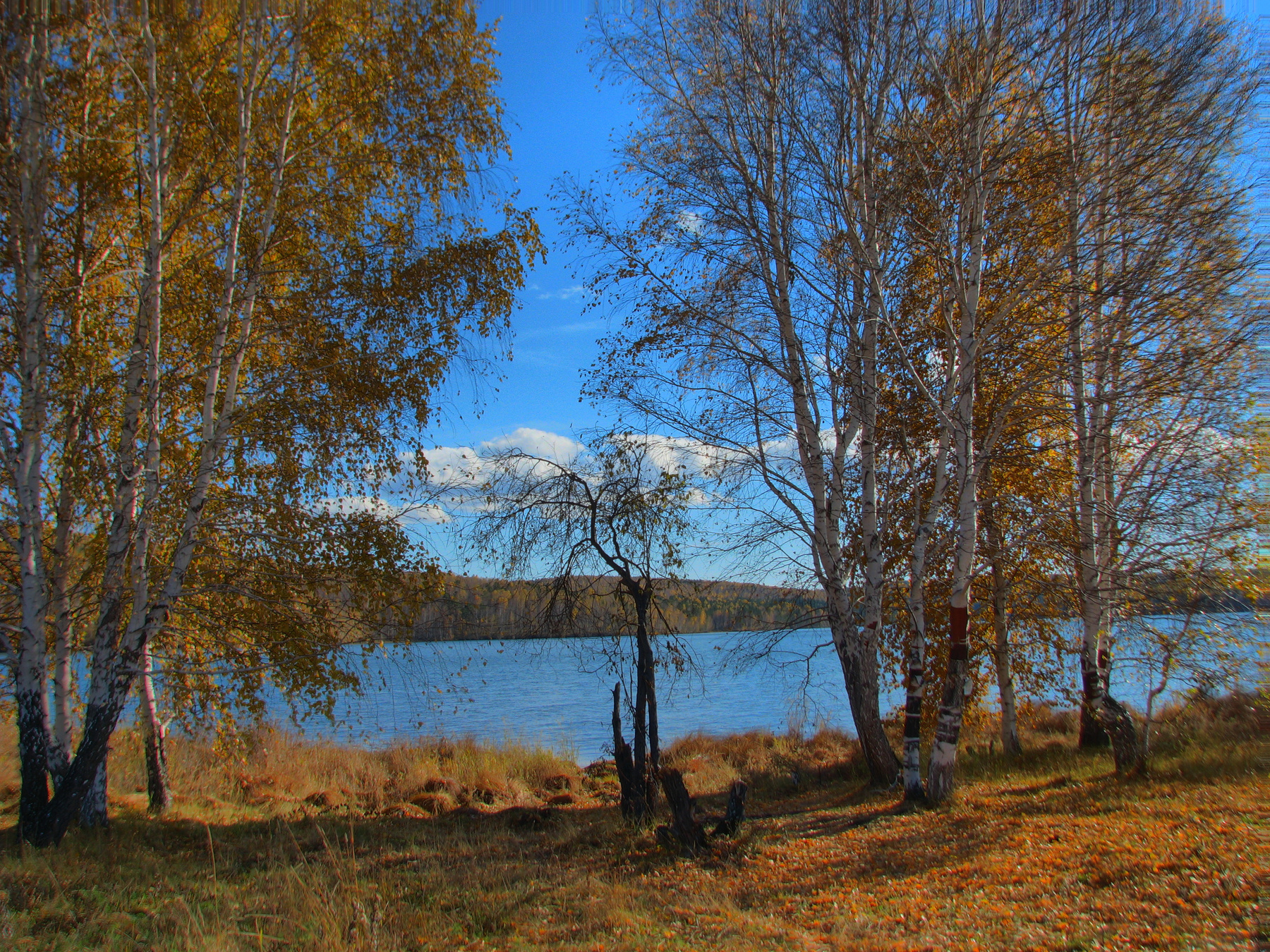 осень осень, Baikal Animation Studio,