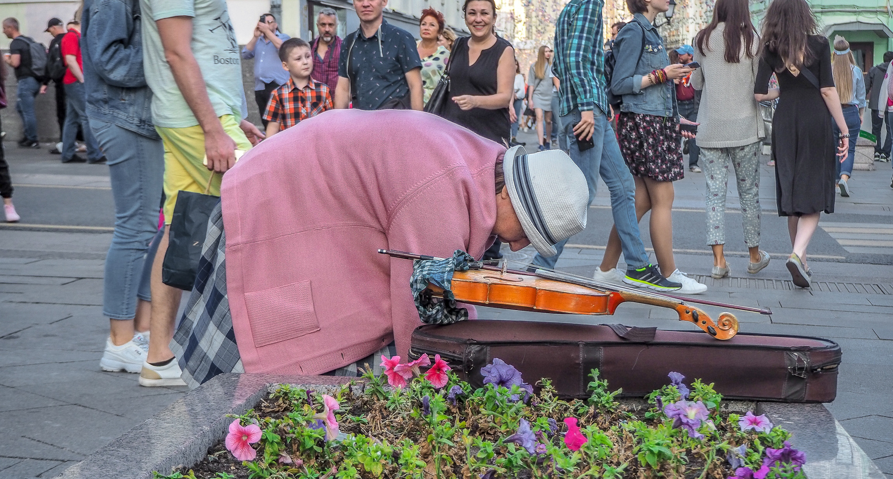 ***Скрипка 