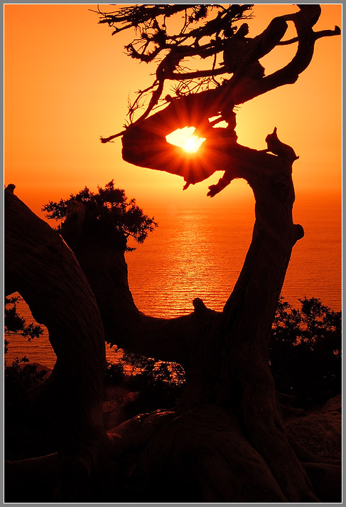 Пылающий взгляд... Греция Родос Пылающий взгляд
