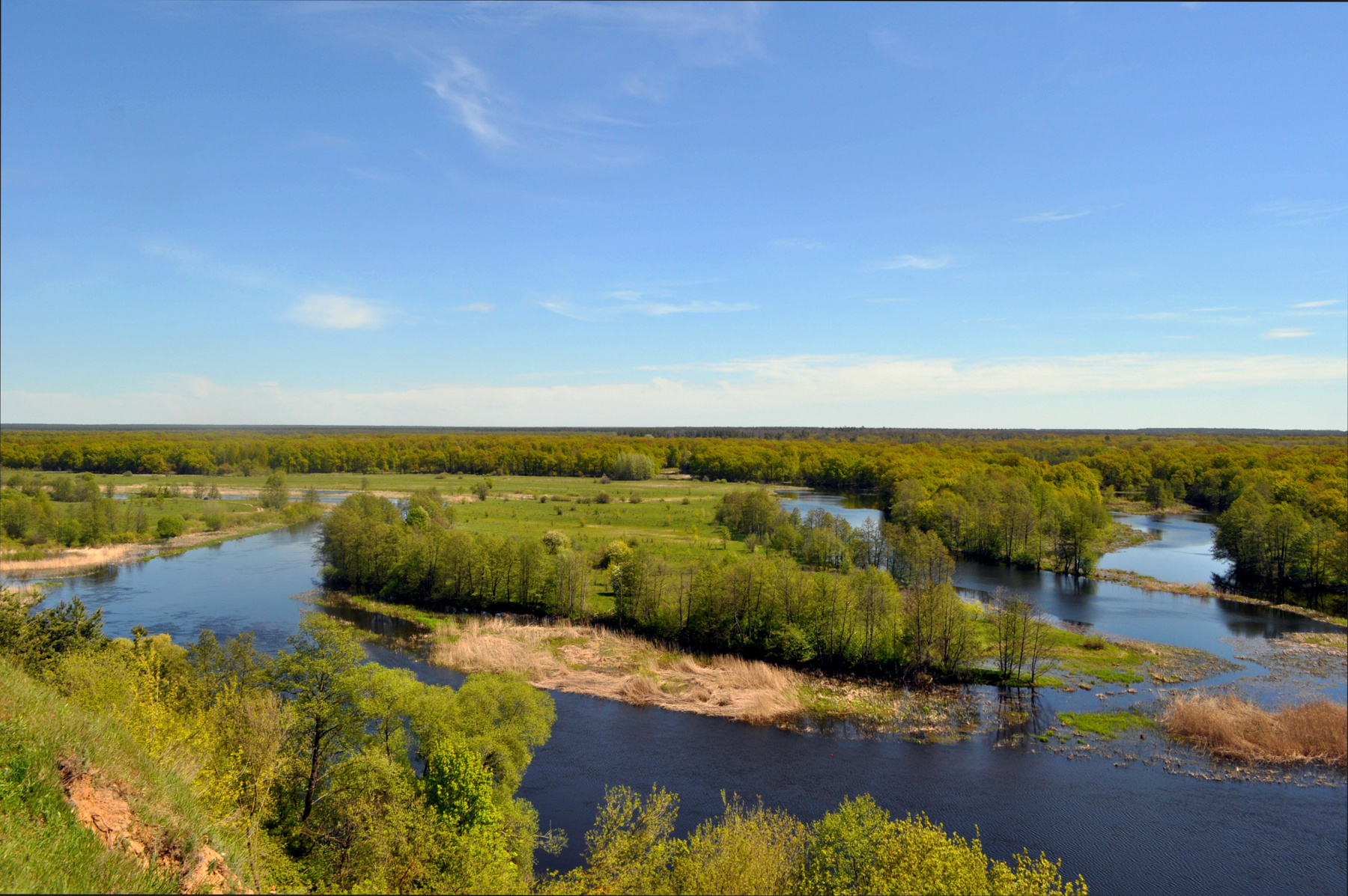 Воронежский заповедник Воронеж заповедник лес река весна