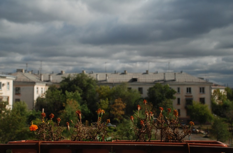 осень пришла... осень, цветы, город, небо, тучи