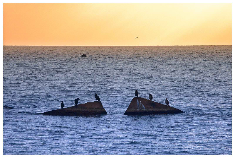 6 крым симеиз море 6 птиц